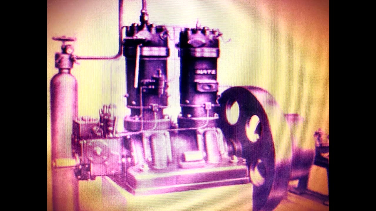 Dieselhase DAWless /1C!_\ -action