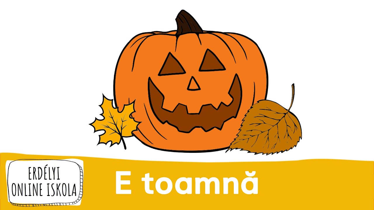 E toamnă. Fructe și legume. Hainele mele de toamnă