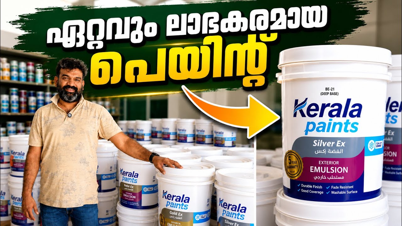 Affordable Paint Brand You Need to Know About! 🎨 Budget-Friendly & High Quality
