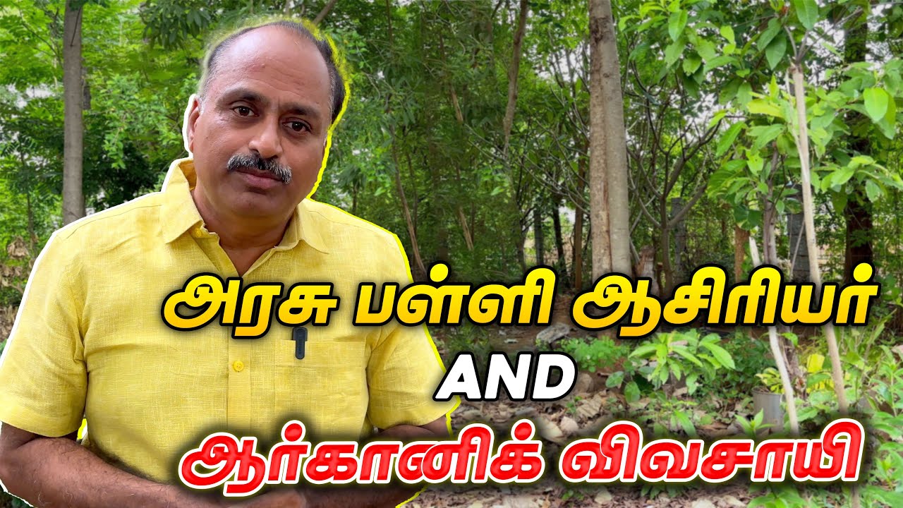 30 அடியில் 3000 மரங்கள் - இயற்கை விவசாயத்தில் கலக்கும் நடுநிலை பள்ளி ஆசிரியர் | Smart Vivasayi