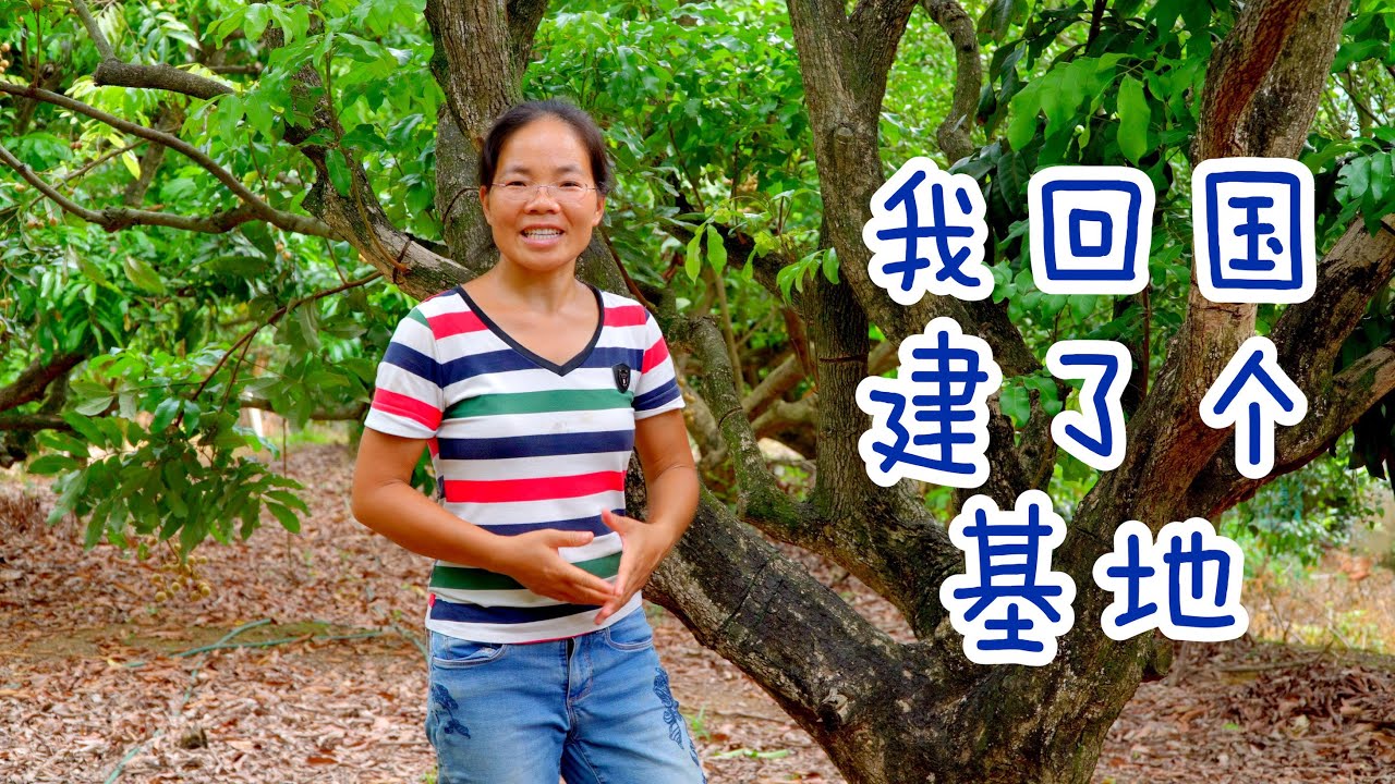 兔妈回国建了个基地，砍树千棵，花了多少钱？