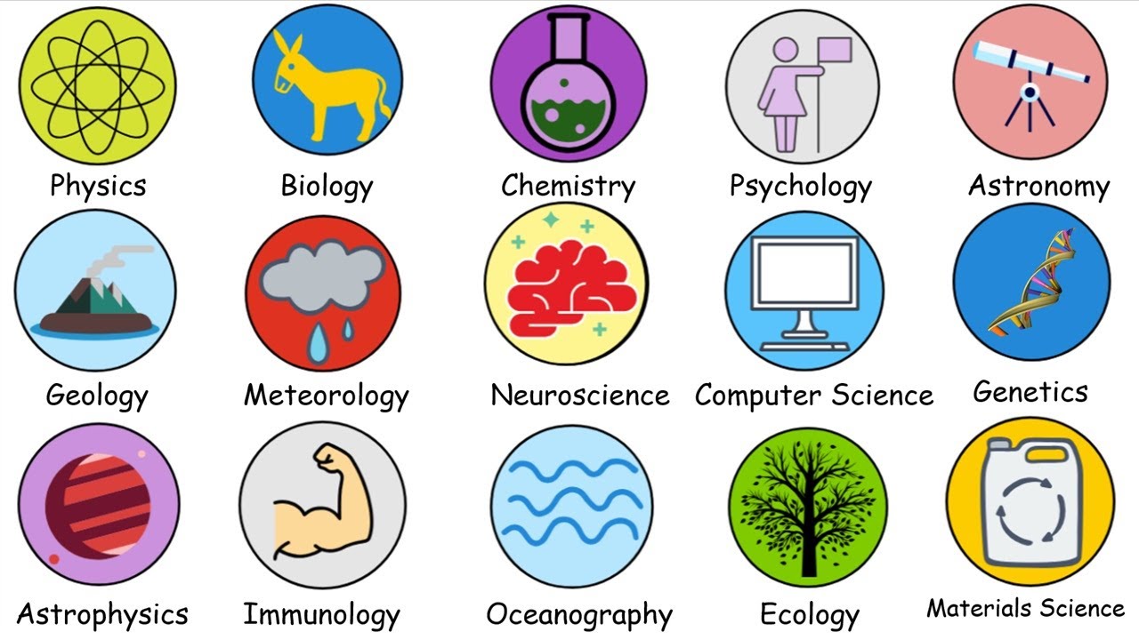 Every Type of Science Explained in 8 minutes