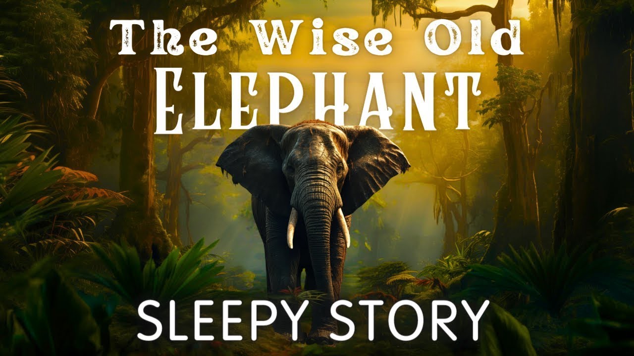 Bedtime Story with Rain Sounds: The Wise Elephant | Scottish ASMR