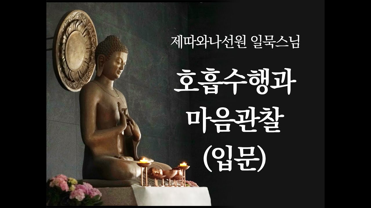 호흡수행과 마음관찰 - 입문 ㅣ일묵스님ㅣ2020. 1. 8. 초기불교 제따와나선원 정기법회