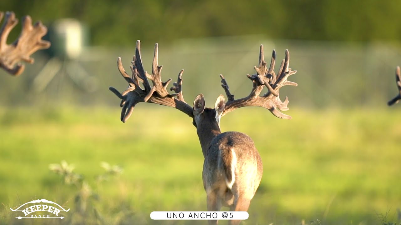 Keeper Ranch (1 minute)