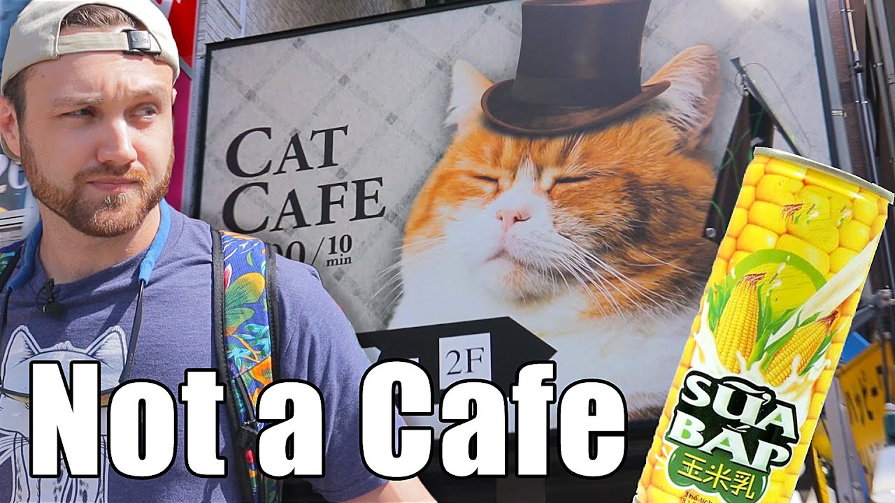 William Investigates A Japanese Cat Zoo