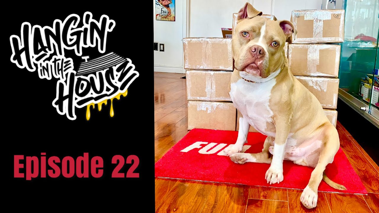 Hangin&rsquo; In The House - Episode 22 (A Day In The Life Of A Heady Glass Shop)