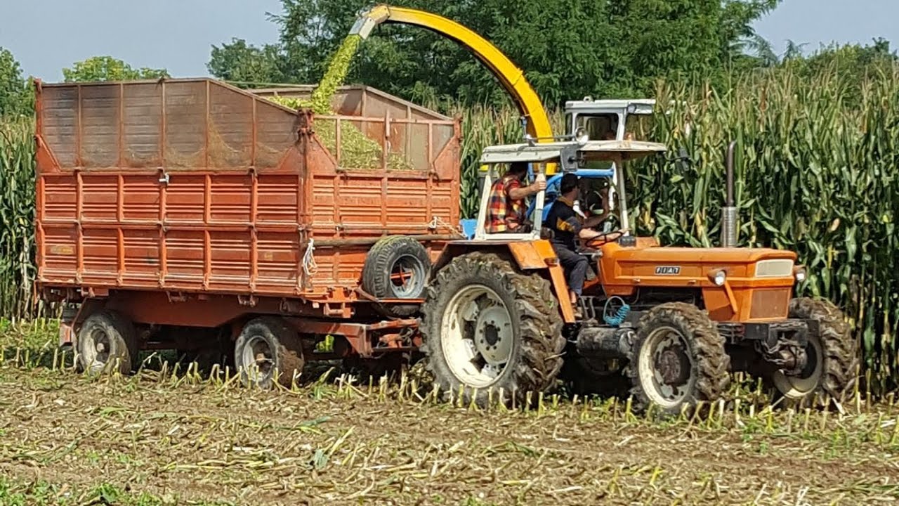 Insilato sorgo & mais 2017 | Berni Europa Ts150