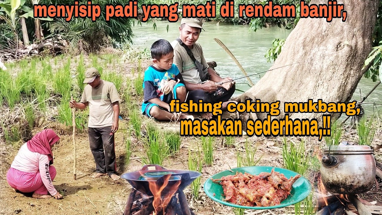 TERNYATA SUNGAI DIPINGGIR KEBUN INI SARANG NYA IKAN,!! COKING MUKBANG,!!