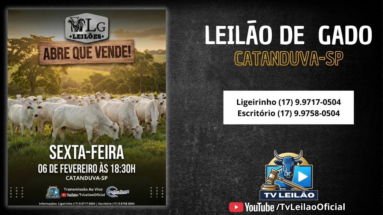 LG LEILÕES AO VIVO - CATANDUVA - SP | LEILÃO DE GADO | 06/02/2026