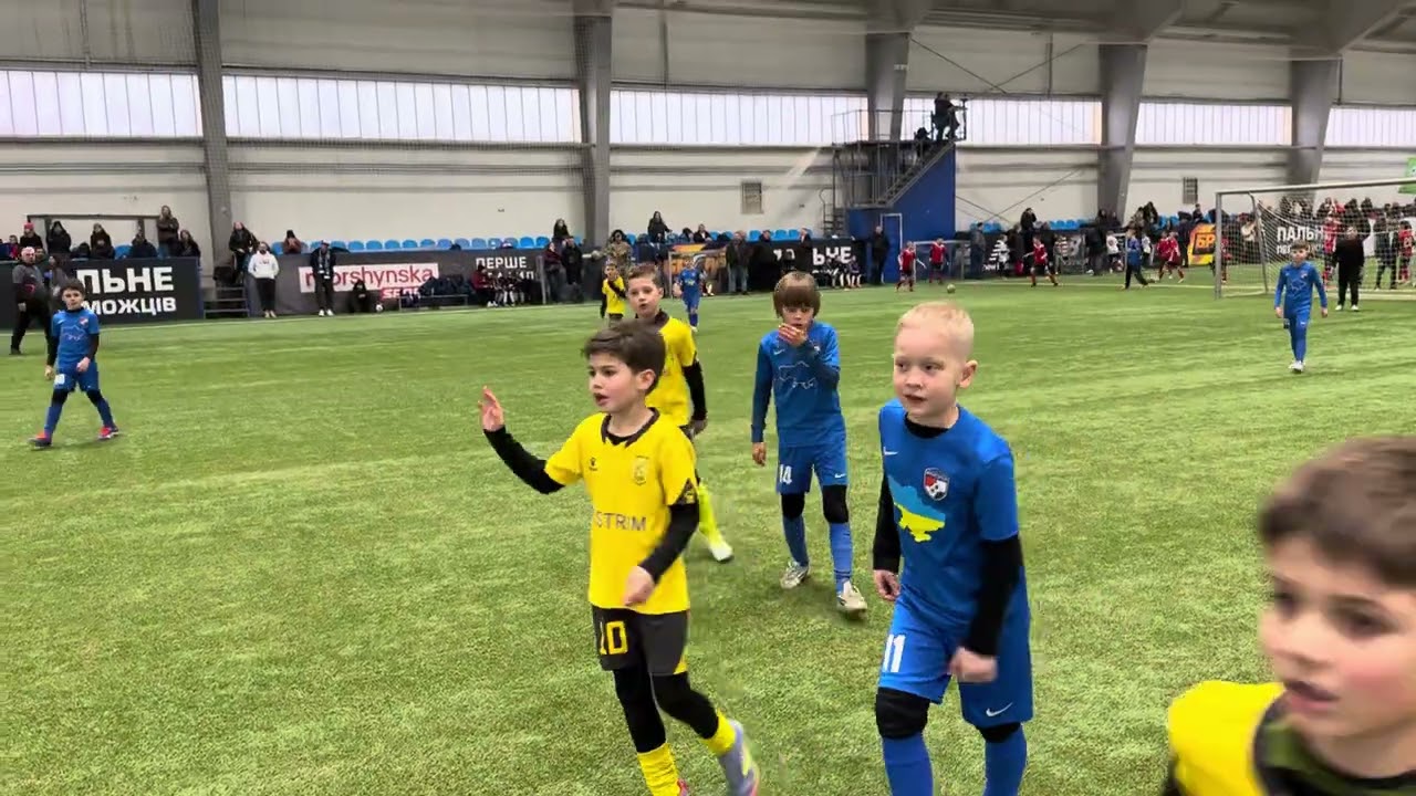 2017 | ФК ВИШГОРОД - Кристал Козин