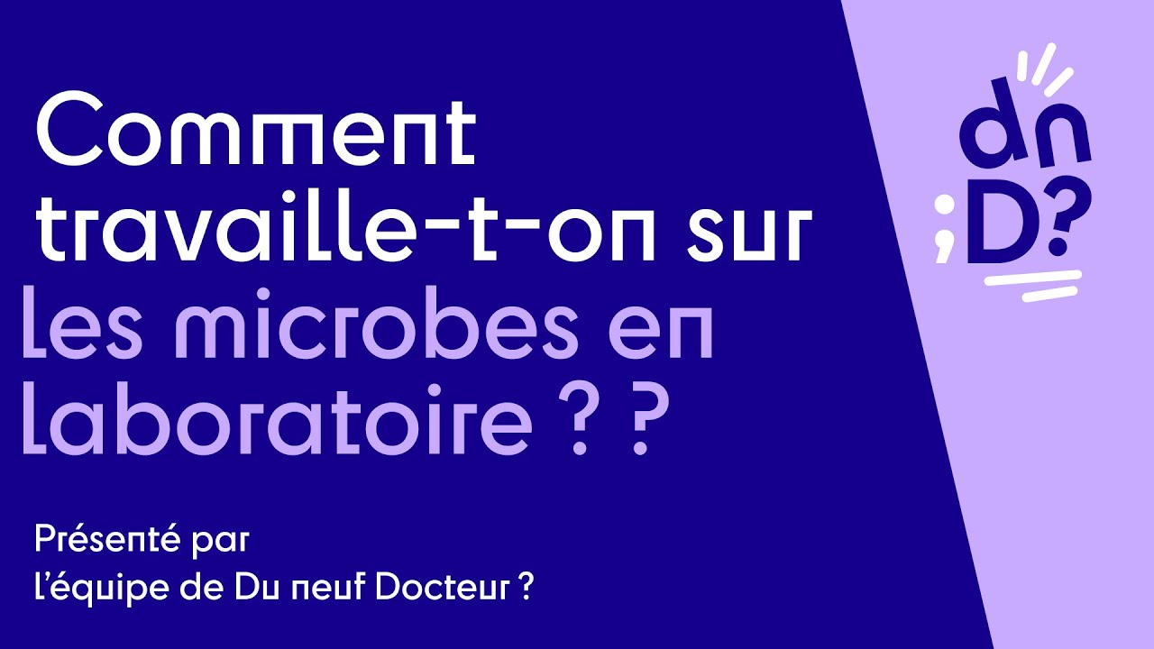 Comment travaille-t-on sur les microbes en laboratoire ?