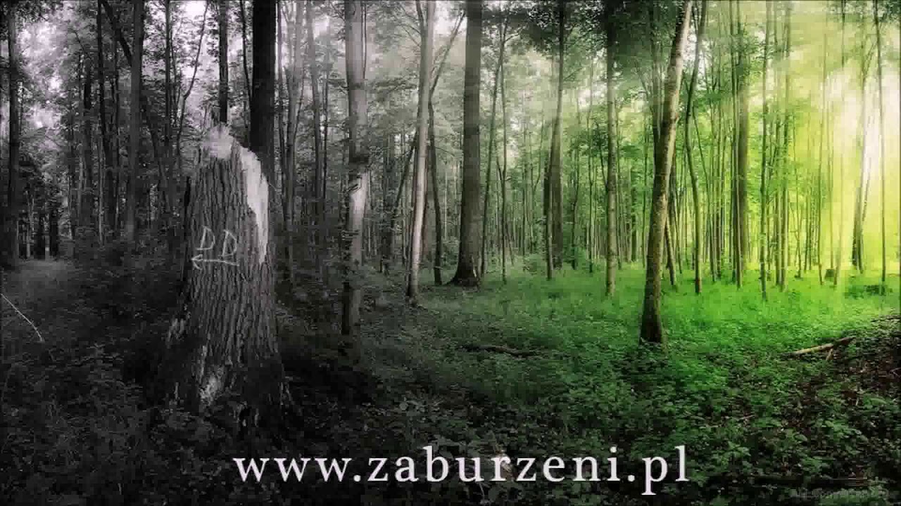 JAK WYJŚĆ Z DEPERSONALIZACJI/DEREALIZACJI? - Odburzanie według DivoVica S1 e6