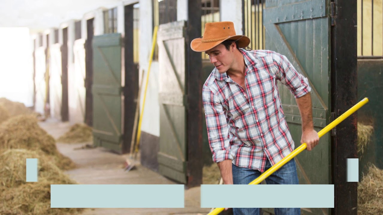Stable Hand - Careers in the Horse Industry (Music Only) | International Horse College