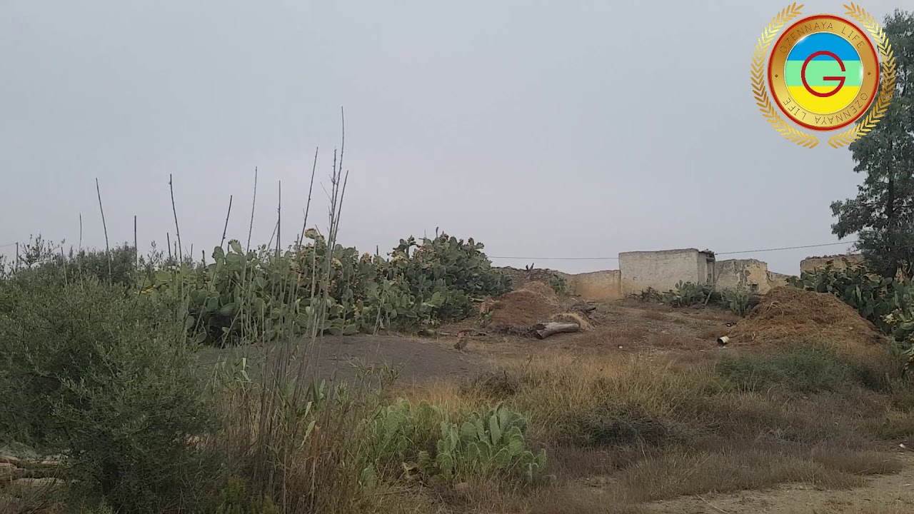Sidi Ali Bourakba