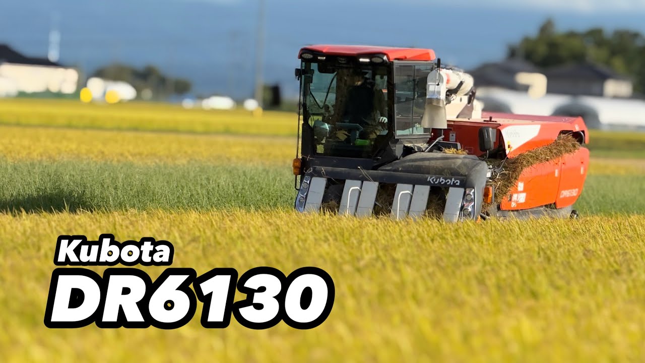稲刈り DR6130