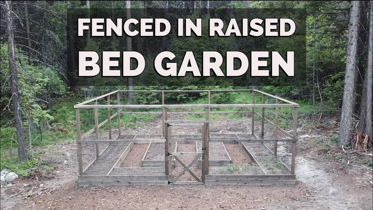 DIY Fenced Raised Bed Garden Keep Deer Out!