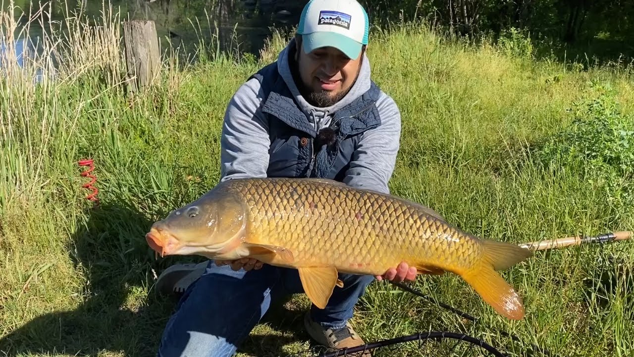 Pescador nunca imagino que pescaría estos peces