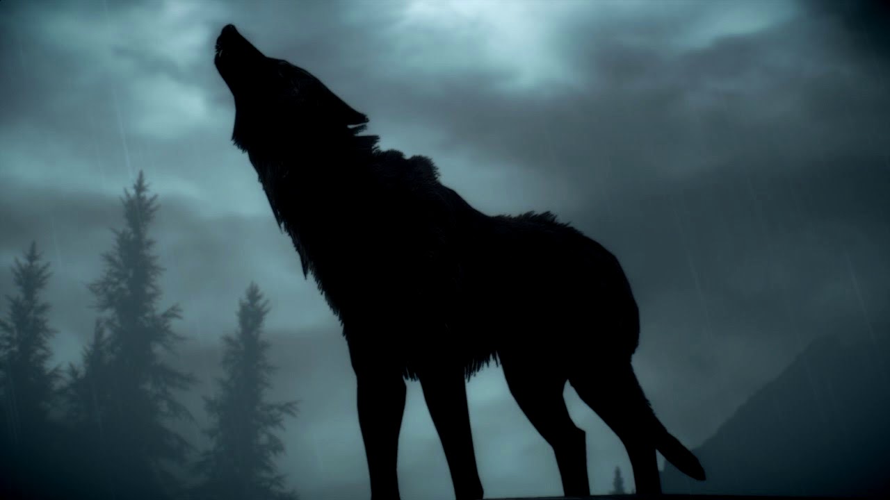 ЧУПОН ВА БУРИЛАР ХУЖУМИ хикоя булган вокеа