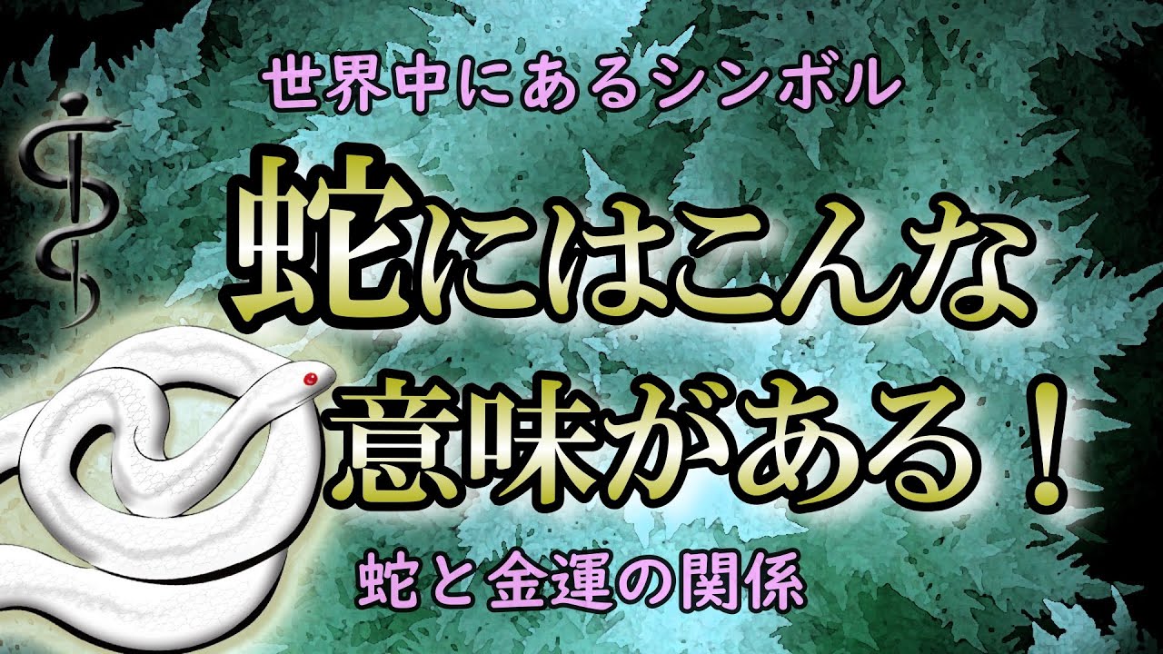 【金運】蛇は神の使いで幸運の象徴｜蛇が夢に出てきたら？蛇の夢診断【アスクレピオス】