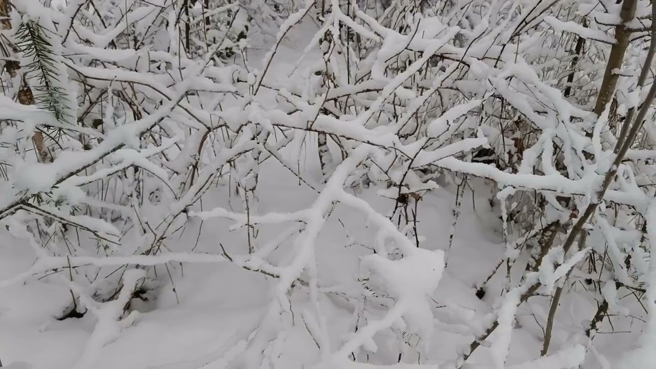 Nederland winter wonderland 2026