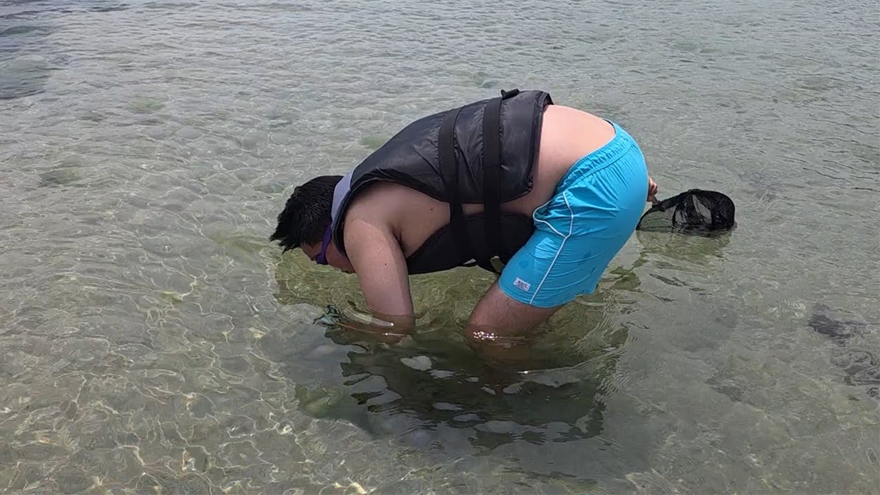 3일 동안 물에 들어가서 잡은 녀석들을 오랜만에 어머니네서 먹어보자!