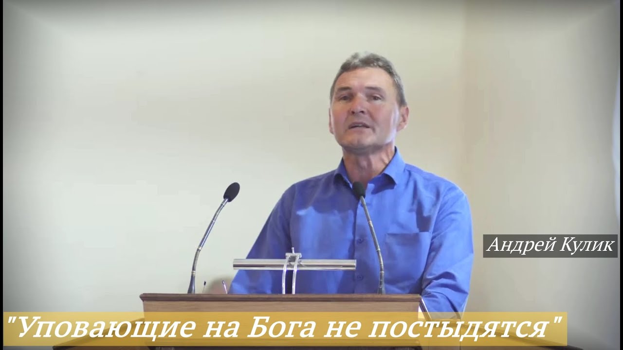 Андрей Кулик - 