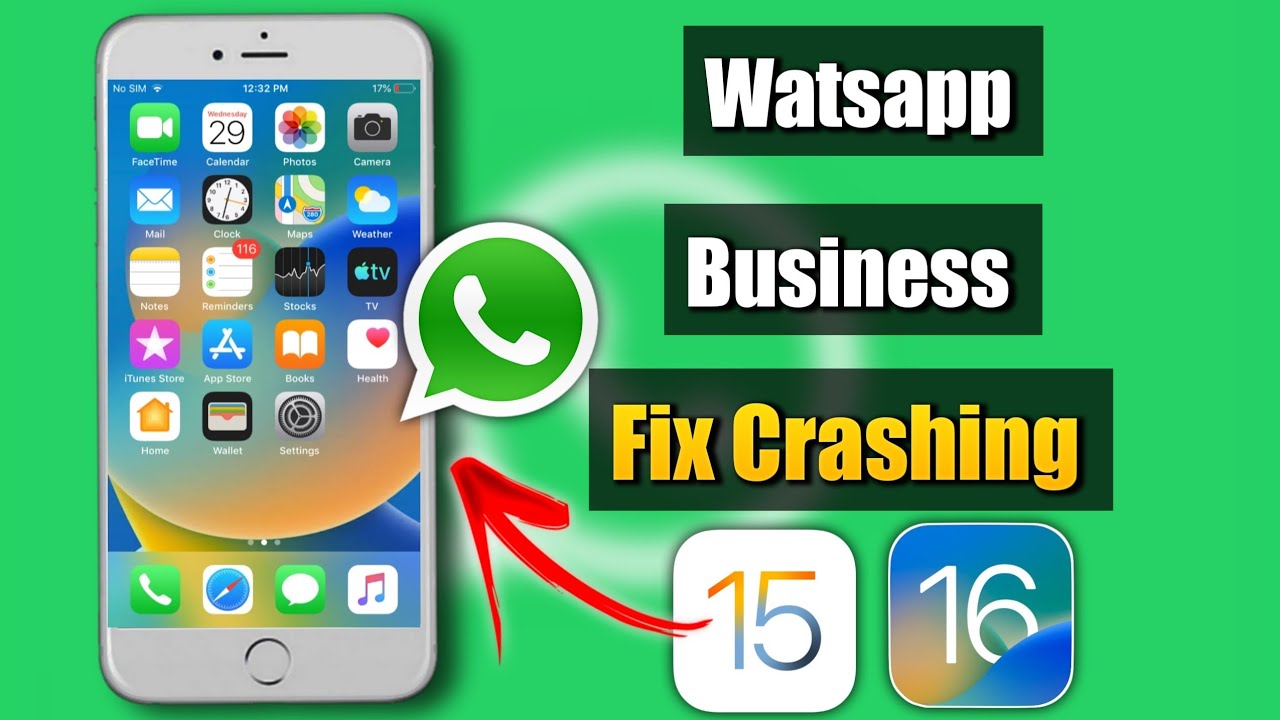 WhatsApp Business Crashes on iPhone | Fix WhatsApp Business Crashing on iPhone | WhatsApp Crashin...