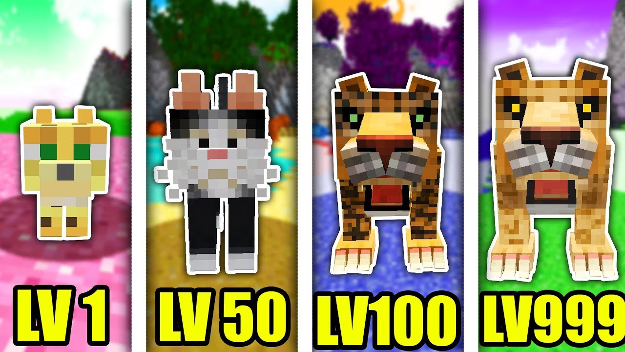 ⚠️ MINECRAFT: EKSPERYMENTY NA KOTACH ⚠️