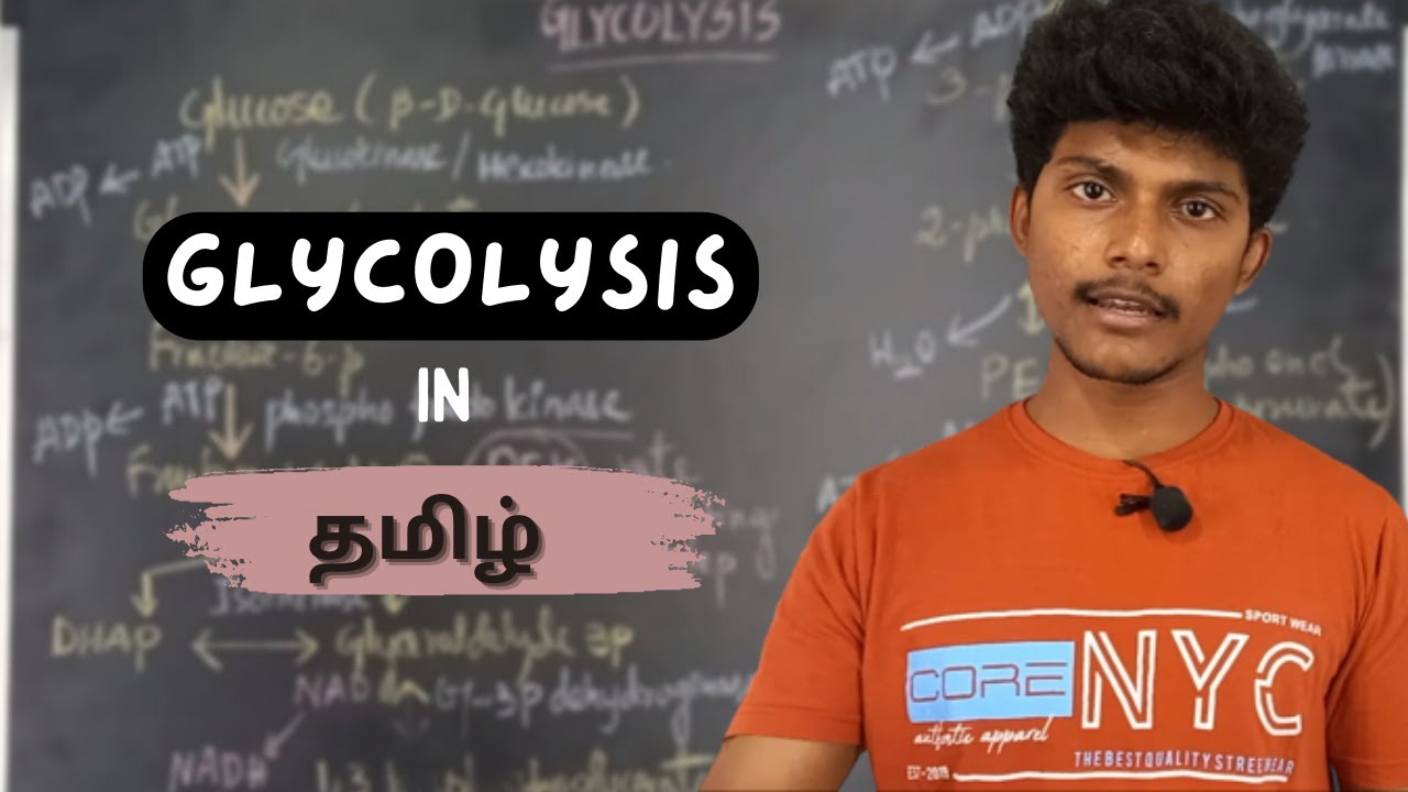 Glycolysis pathway lecture in tamil | carbohydrate metabolism | Mr.Biochemistry