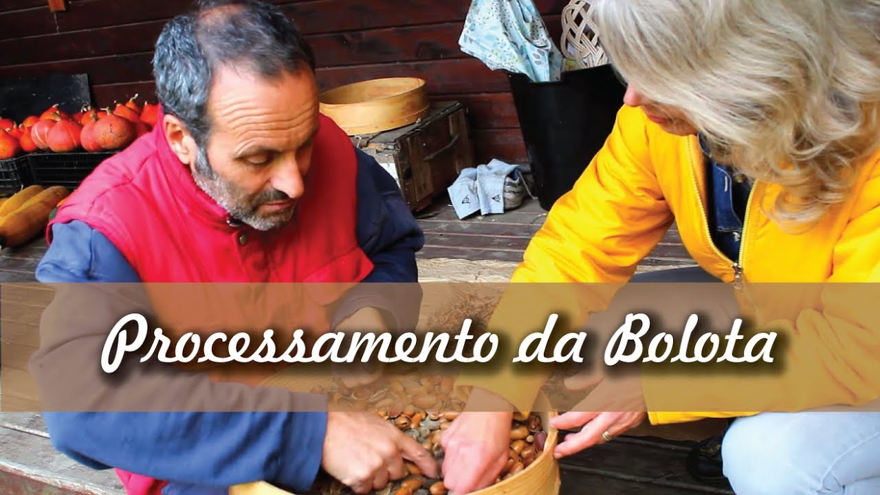 Processamento da Bolota - Com César Lema Costas (Pt.2)