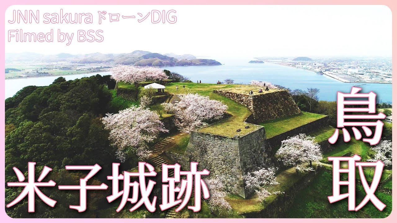 大パノラマと桜　鳥取県・米子城跡【JNN sakuraドローンDIG 2023】