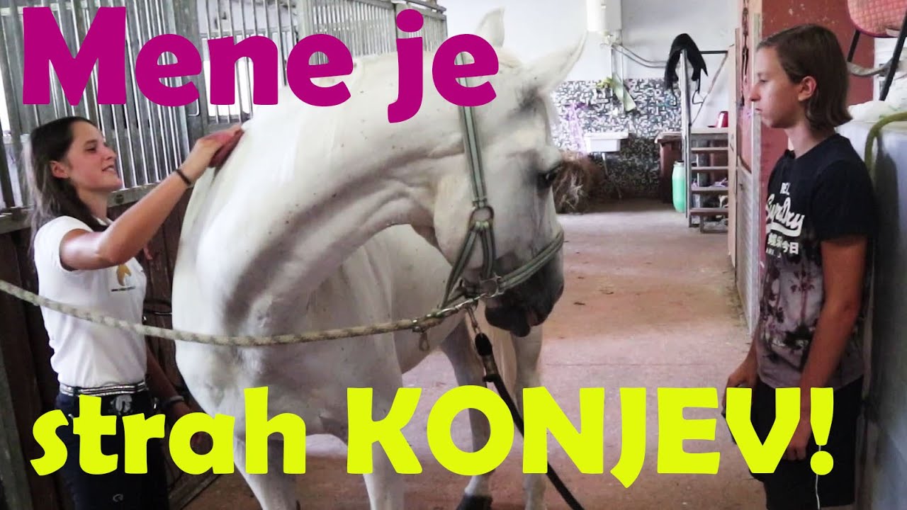 [137] Mene je STRAH KONJEV! 🐴