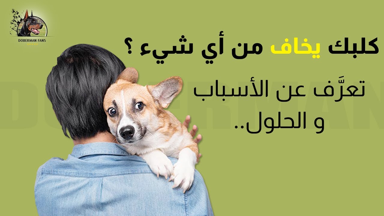 ..كلبك يخاف من أي شيء ؟ تعرَّف عن الأسباب و الحلول
