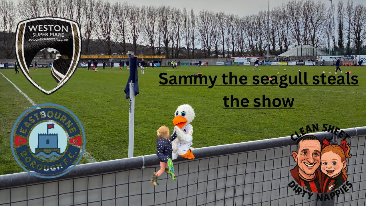 Sammy the seagull steals the show