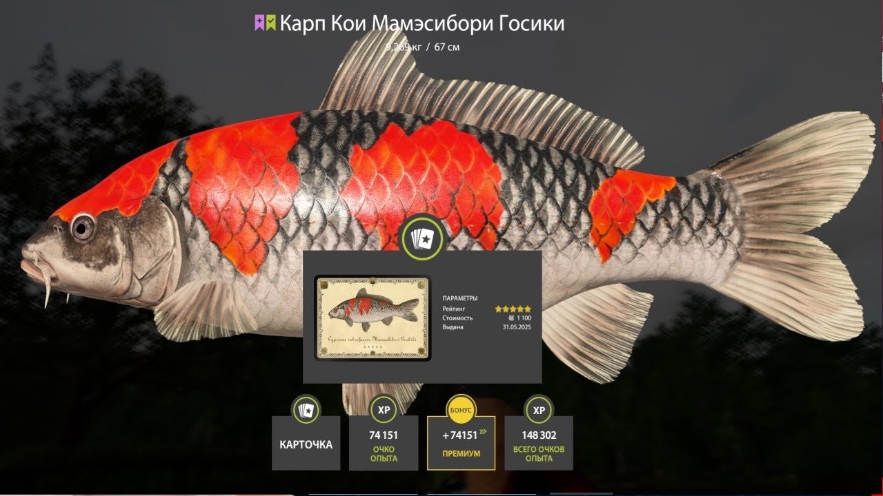 ➤ ГДЕ СЕЙЧАС МНОГО СЕРЕБРА ИЛИ ЖЕ МОЖЕТ ТРОФЕИ #русскаярыбалка4  #РР4