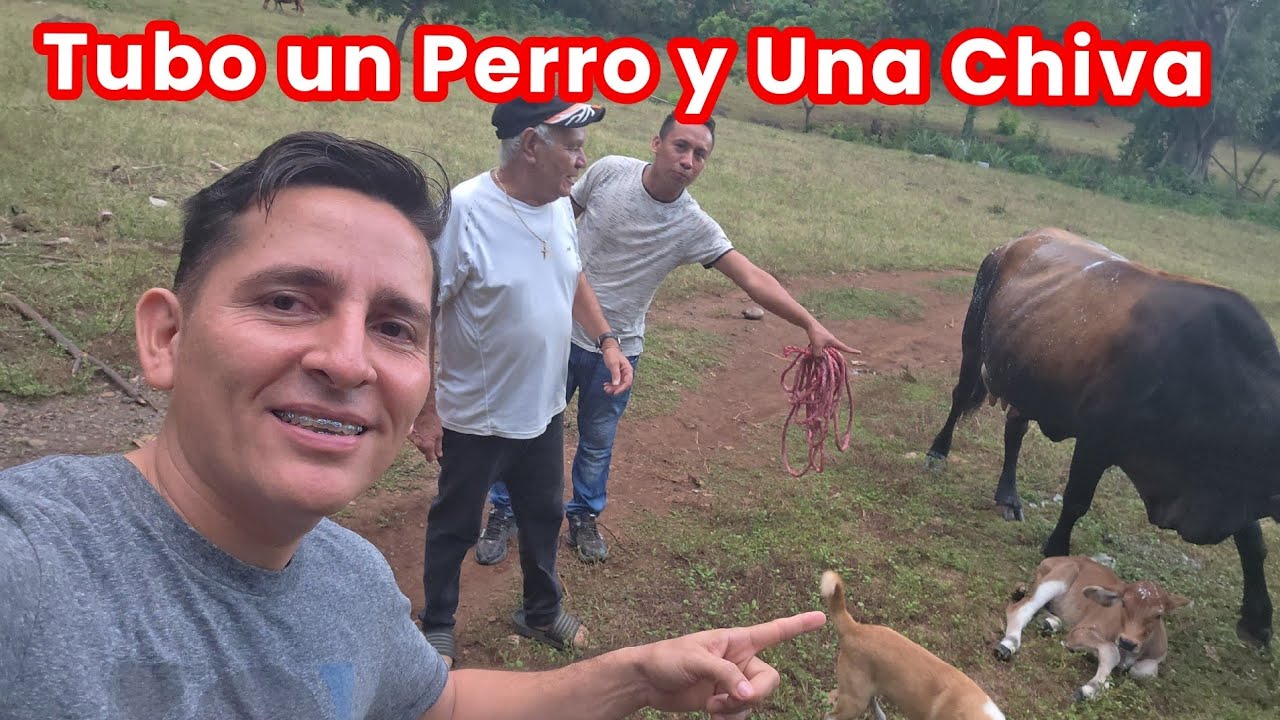 Nació nueva Cría y Shorita vino a Verla
