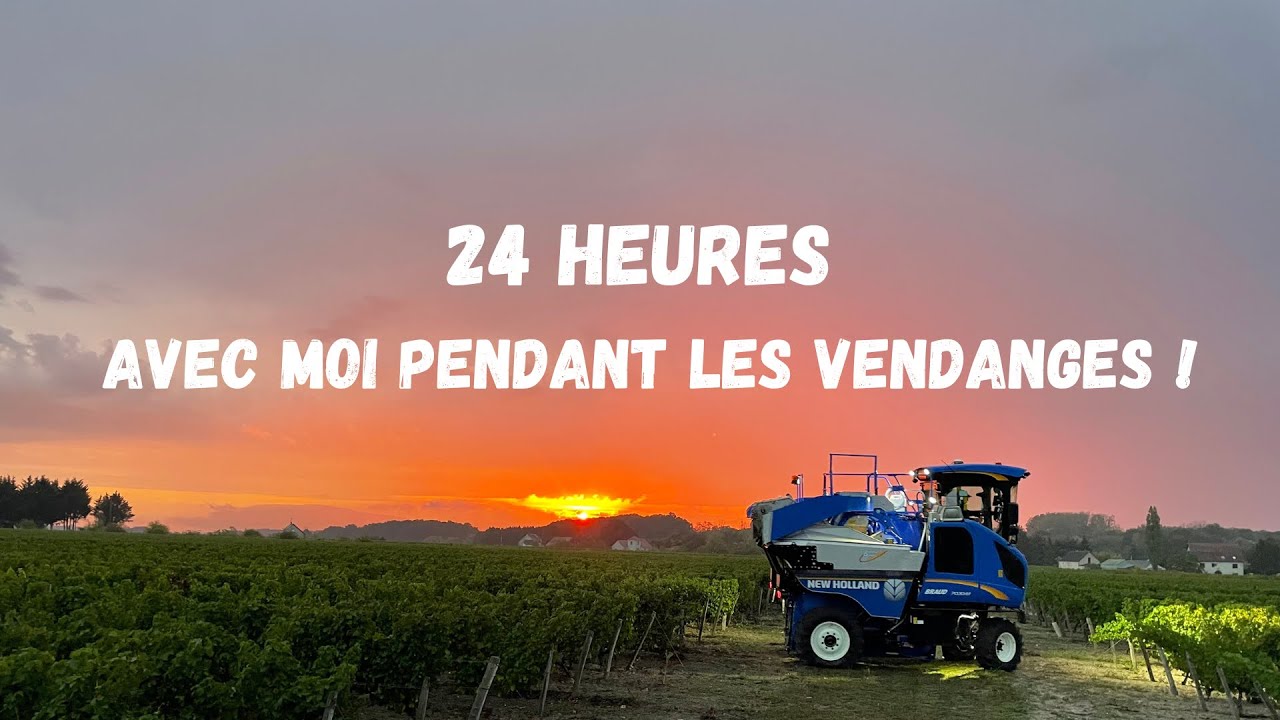 Une JOURNÉE avec moi aux VENDANGES 2K22