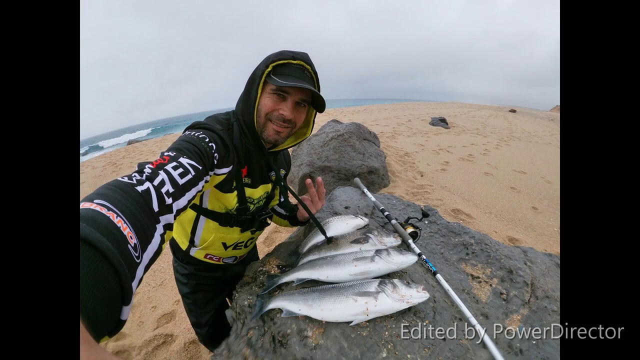 sea bass - dia de pesca 4 peixes