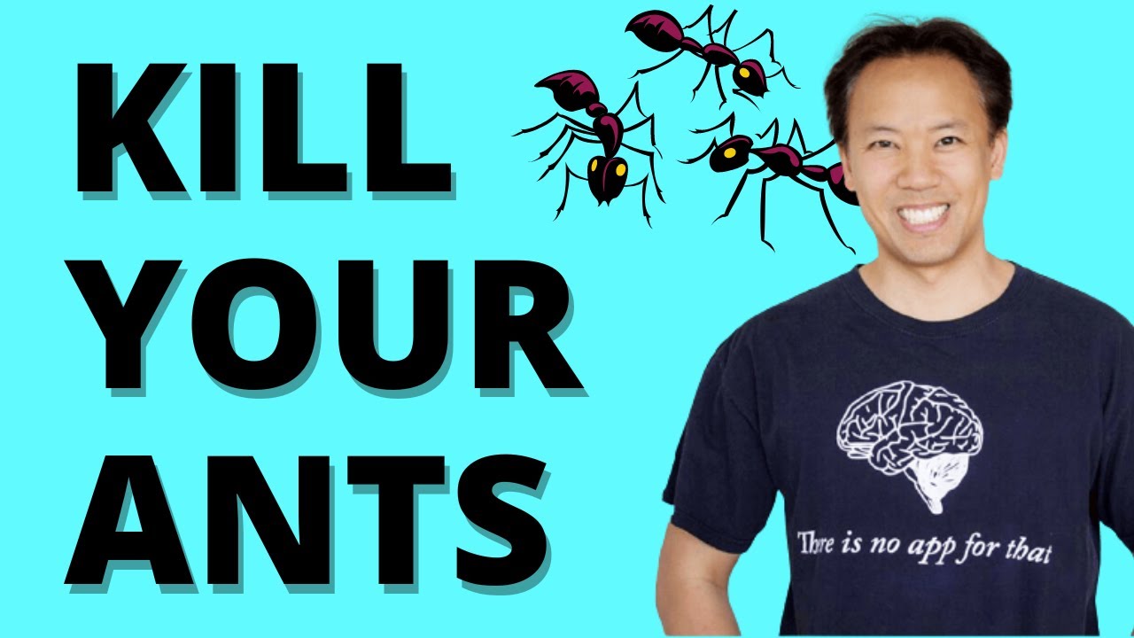 Go Kill your ANTs | Limitless by Jim Kwik