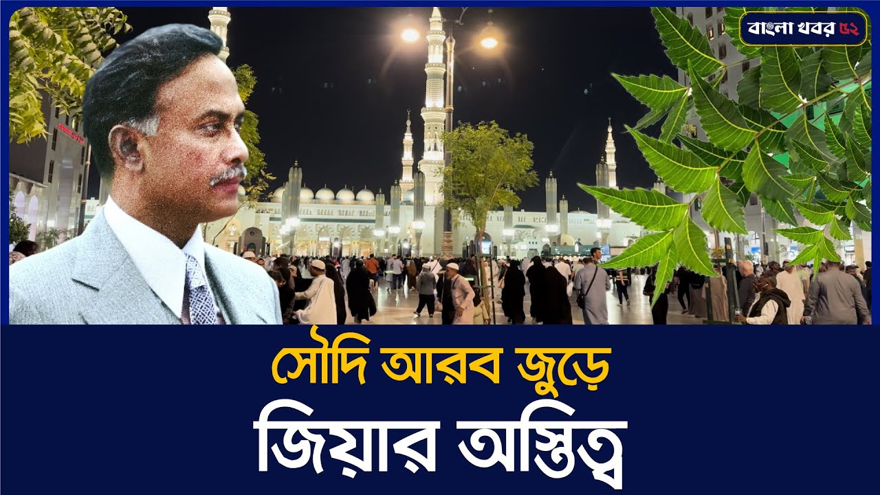 সৌদির মরুভূমি জুড়ে জিয়ার অস্তিত্ব | Zia Tree in Saudi Arabia | Bangla Khobor 52