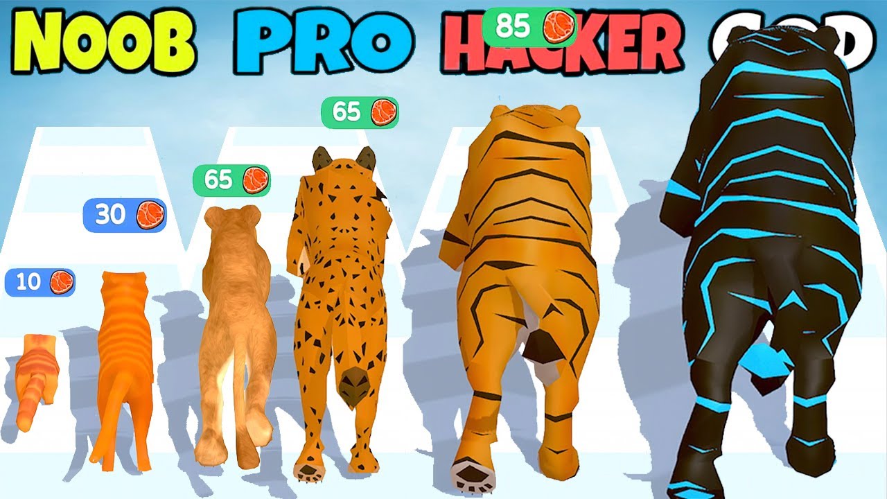 NOOB vs PRO vs HACKER vs GOD in Cat Evolution