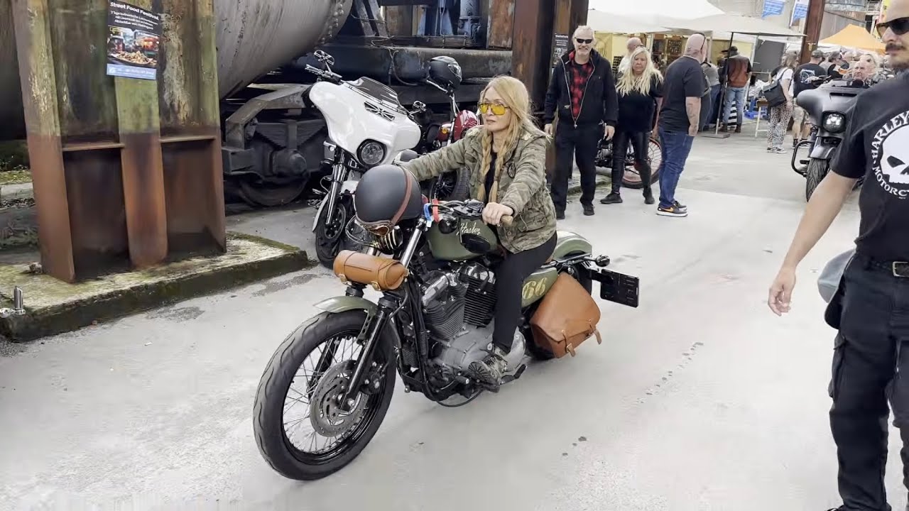 Harley, Best of 2024 and 2025 Part 3 #harley #custom