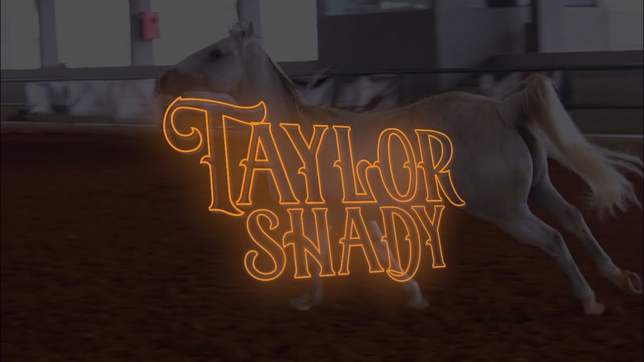 TAYLOR SHADY: O CAVALO MAIS PREMIADO DE 2023 NOS TRÊS TAMBORES