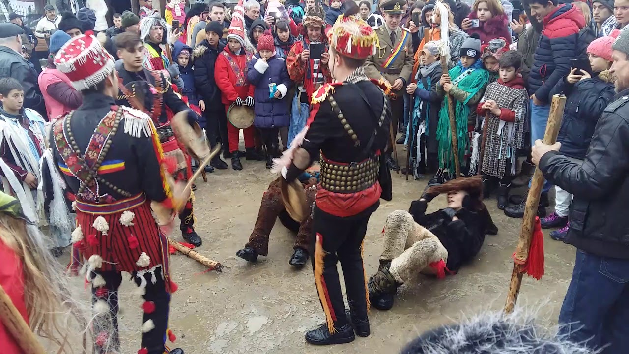 Ursul din Madirjac 2019-2020