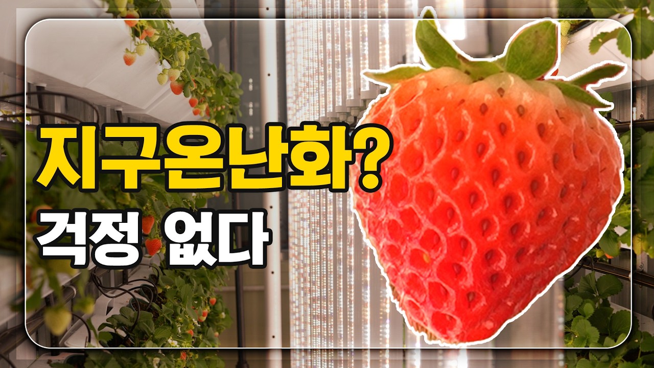 지구온난화 와도 걱정 없다? 수직농장의 비밀
