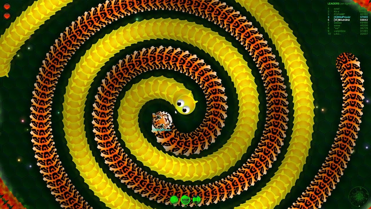 Wormax.io Best Kills #84