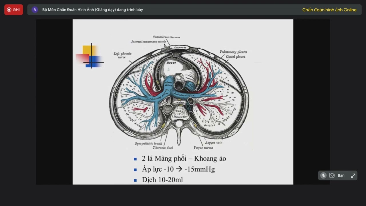 CÁC HỘI CHỨNG HÔ HẤP LỚN