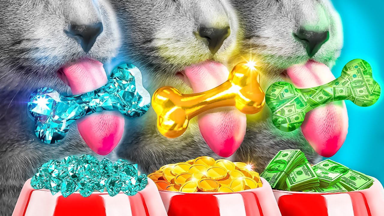 Meine magische Katze erfüllt Wünsche!