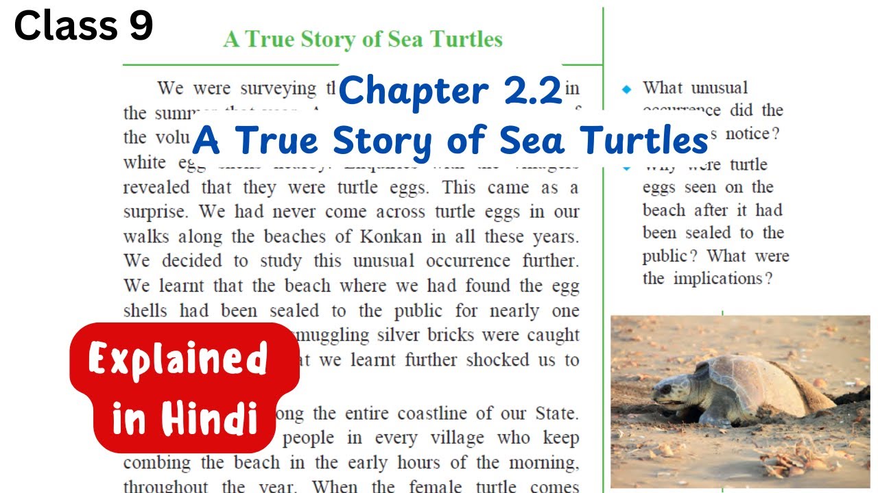 A True Story of Sea Turtles | Chapter 2.2 | English class 9 | Chapter Explanation | state board |